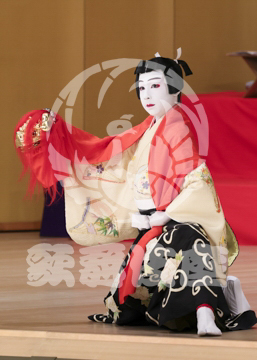 【4月】連獅子