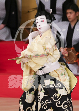 【4月】連獅子