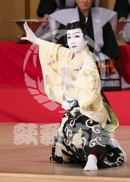 【4月】連獅子