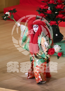 【4月】連獅子