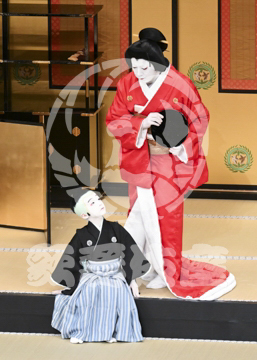 【4月】裏表先代萩