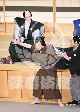 【4月】裏表先代萩