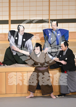 【4月】裏表先代萩