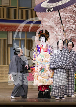 【4月】浮かれ心中