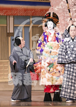 【4月】浮かれ心中