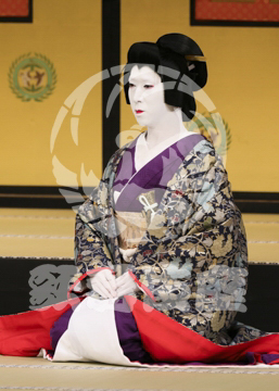 【4月】裏表先代萩