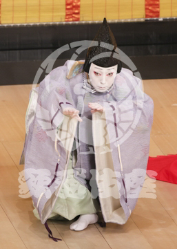 【5月】六歌仙容彩