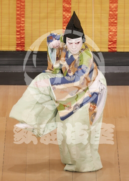 【5月】六歌仙容彩