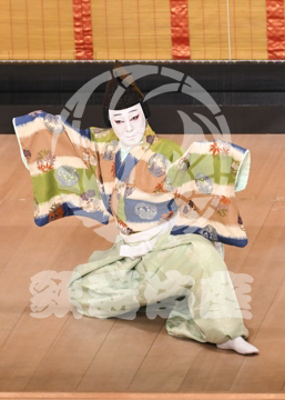 【5月】六歌仙容彩