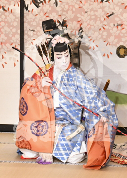 【5月】六歌仙容彩
