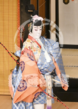 【5月】六歌仙容彩