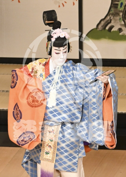 【5月】六歌仙容彩