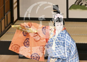 【5月】六歌仙容彩