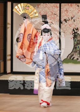 【5月】六歌仙容彩