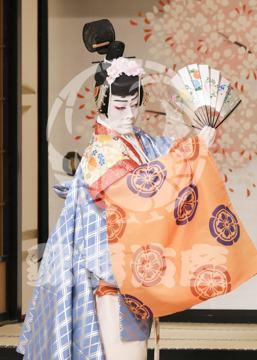 【5月】六歌仙容彩
