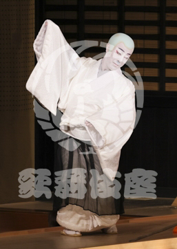 【5月】六歌仙容彩