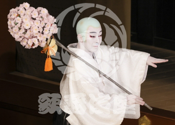 【5月】六歌仙容彩