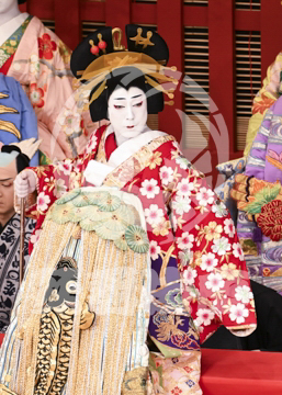 【5月】助六由縁江戸桜