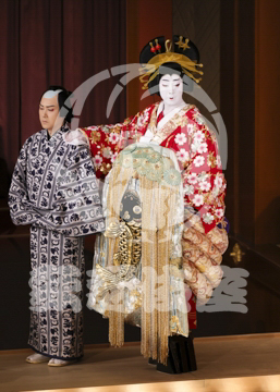 【5月】助六由縁江戸桜