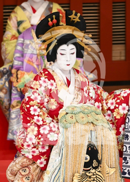 【5月】助六由縁江戸桜