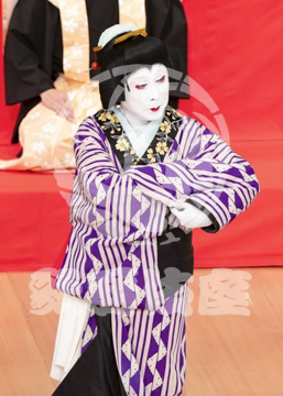 【5月】六歌仙容彩