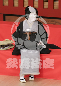 【5月】助六由縁江戸桜