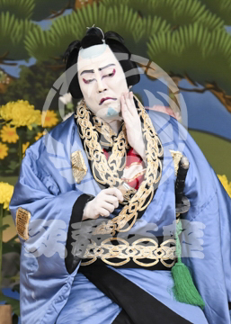 【5月】鬼一法眼三略巻菊畑