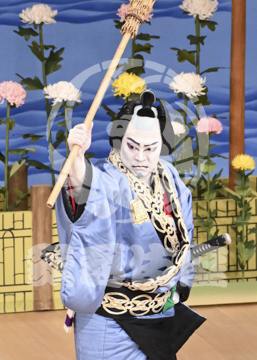 【5月】鬼一法眼三略巻菊畑