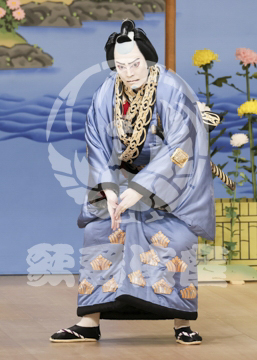 【5月】鬼一法眼三略巻菊畑