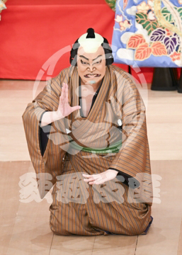 【5月】助六由縁江戸桜