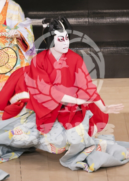 【5月】寿曽我対面