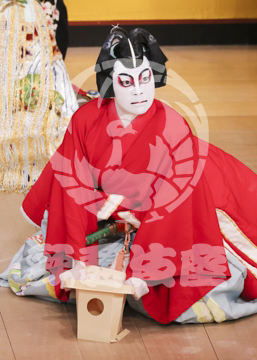 【5月】寿曽我対面