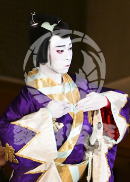 【5月】鬼一法眼三略巻菊畑