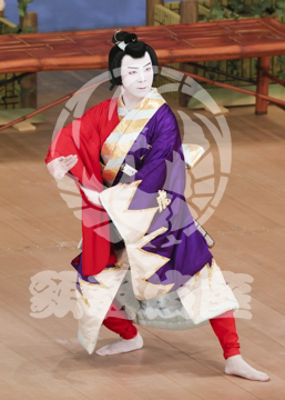 【5月】鬼一法眼三略巻菊畑