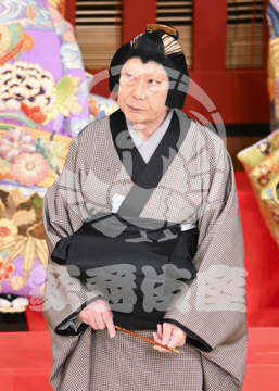 【5月】助六由縁江戸桜