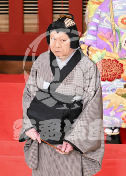【5月】助六由縁江戸桜