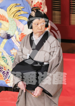 【5月】助六由縁江戸桜