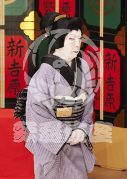 【5月】助六由縁江戸桜