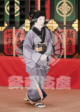 【5月】助六由縁江戸桜