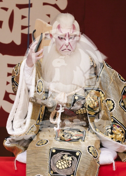 【5月】助六由縁江戸桜