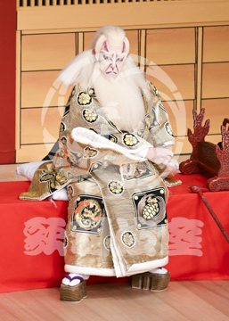 【5月】助六由縁江戸桜