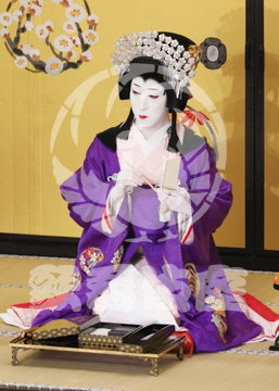 【5月】六歌仙容彩