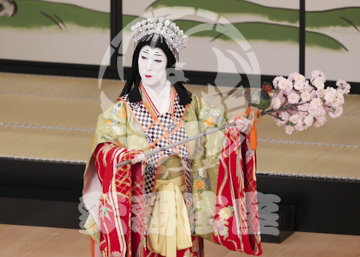 【5月】六歌仙容彩
