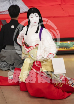 【5月】六歌仙容彩