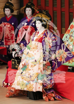 【5月】助六由縁江戸桜
