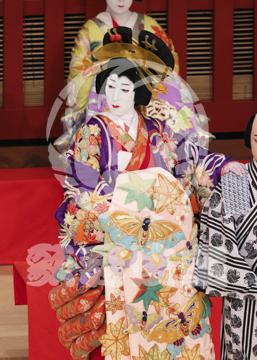 【5月】助六由縁江戸桜