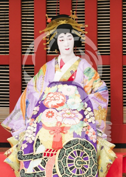 【5月】助六由縁江戸桜