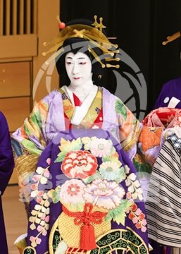 【5月】助六由縁江戸桜
