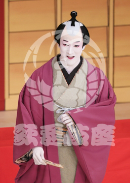 【5月】助六由縁江戸桜