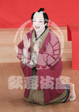 【5月】助六由縁江戸桜